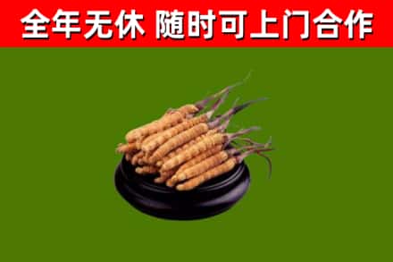 祥云烟酒回收冬虫夏草.jpg